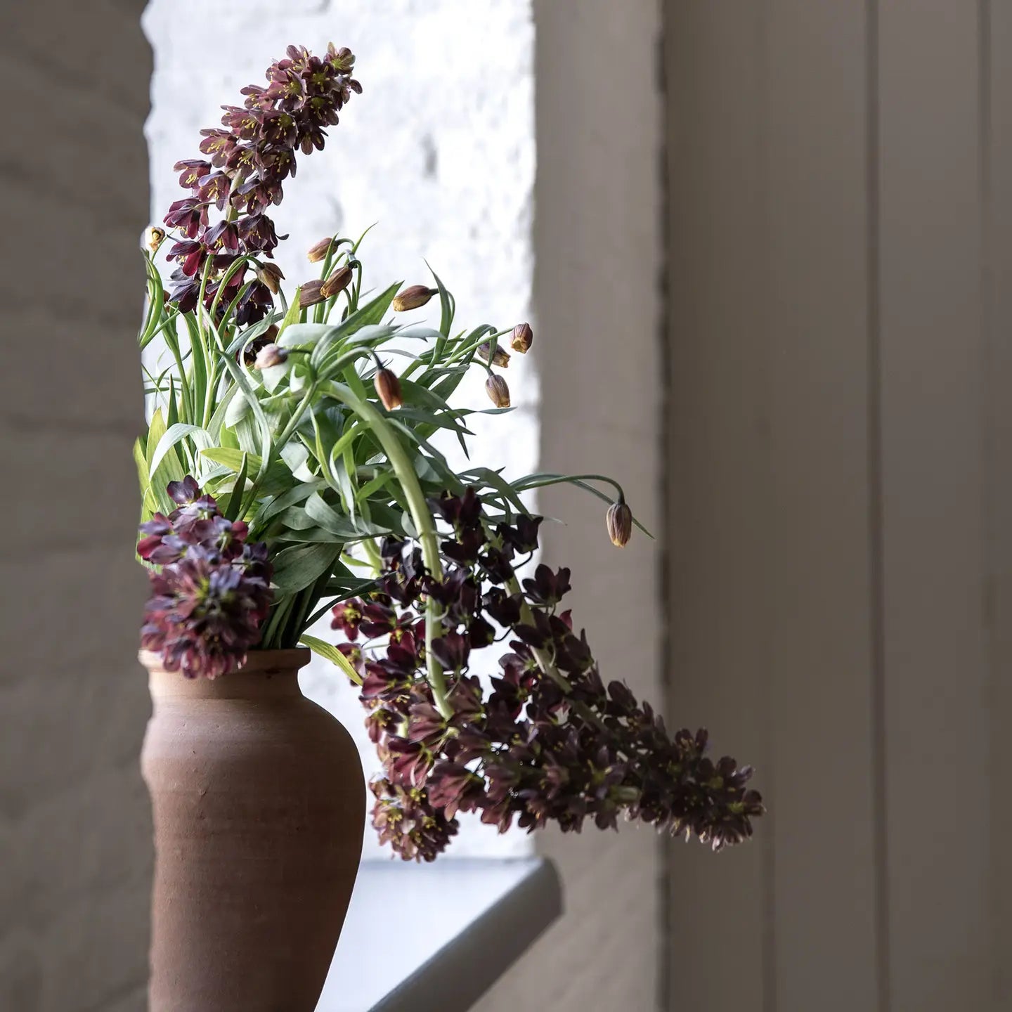 Terracina-Urne mittelgroß - reflect design