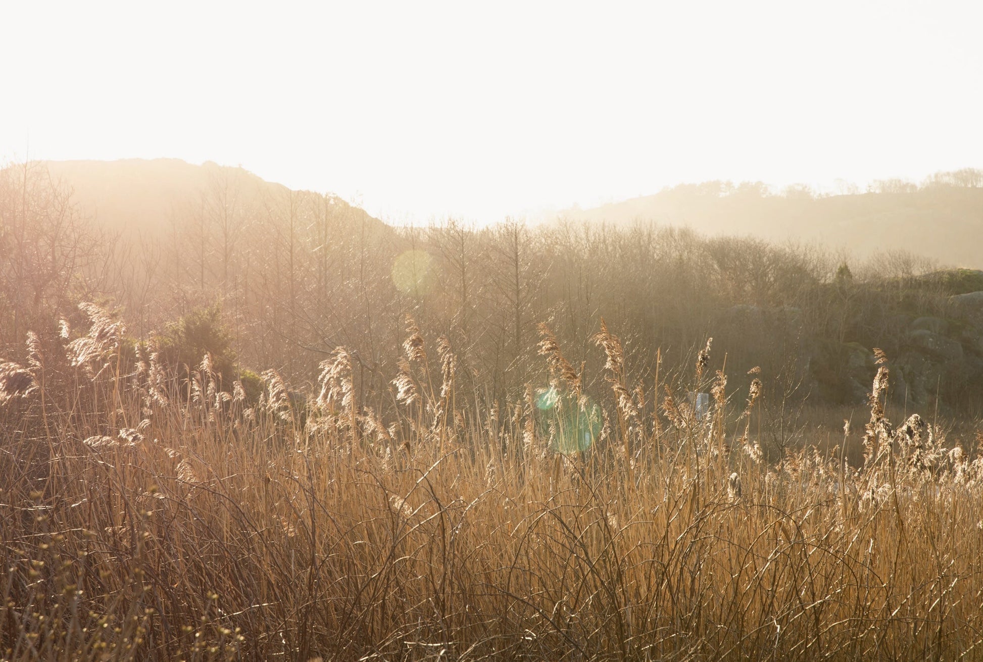 Stillness - New Mags